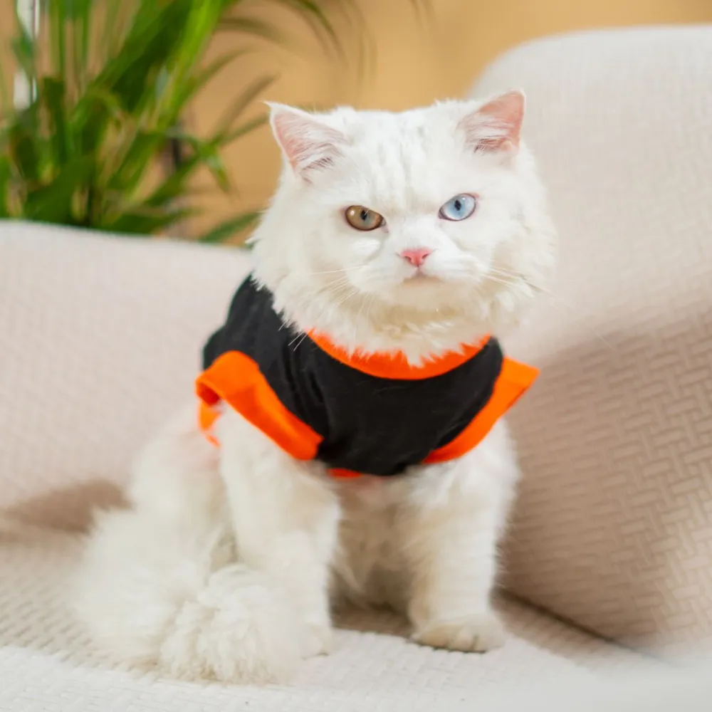Pet Set Go Prince Has Arrived T-shirt for Cats (Orange/Black)