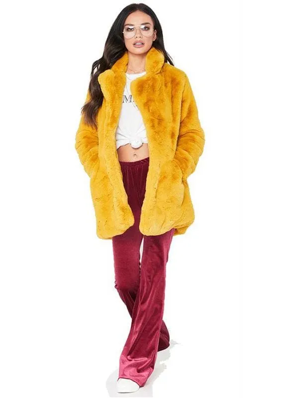 Winter Daily Regular Stand Long Faux Fur Coats